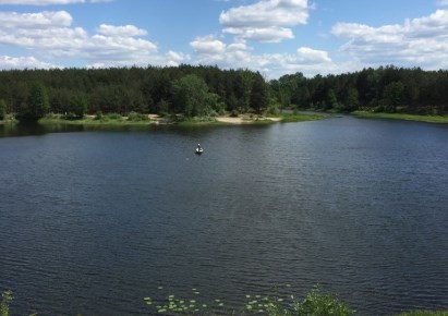 dom na sprzedaż - Rzewnie, Brzóze Małe