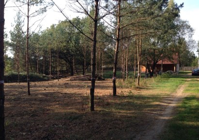 działka na sprzedaż - Rzewnie, Brzóze Małe