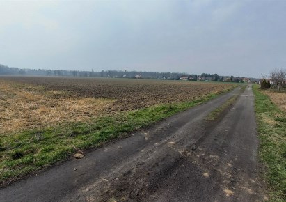 działka na sprzedaż - Komprachcice, Ochodze