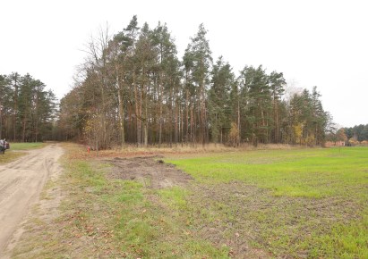 działka na sprzedaż - Ozimek (gw), Szczedrzyk