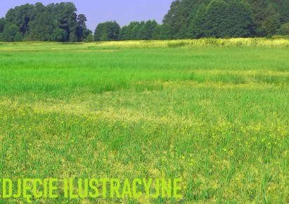 działka na sprzedaż - Łubniany, Luboszyce